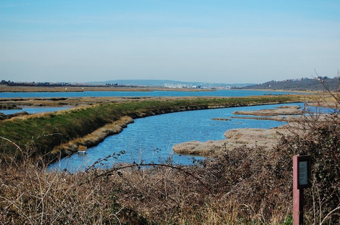 Two Tree Island's lagoons