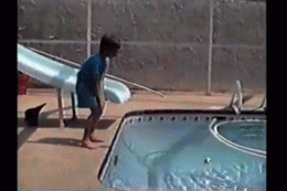 Cat pushes kid in pool