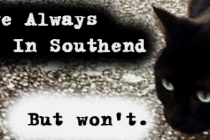 Cat Memes Southend