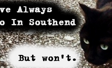Cat Memes Southend