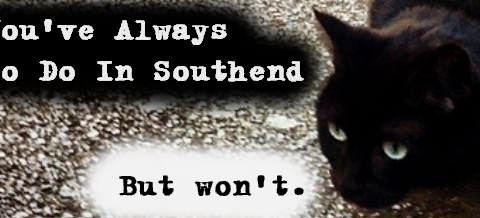 Cat Memes Southend