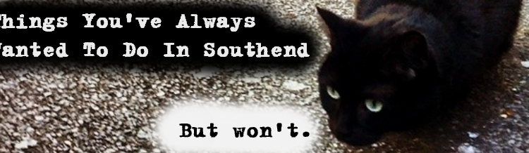Cat Memes Southend