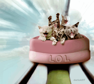 Cat Rollercoaster