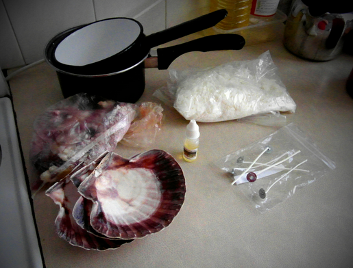 Sea shells tutorial materials