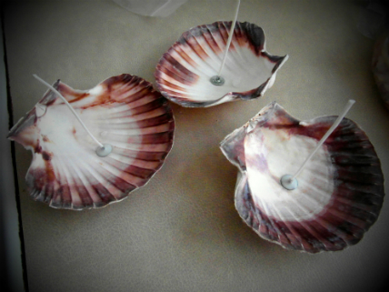 Sea shells tutorial wicks
