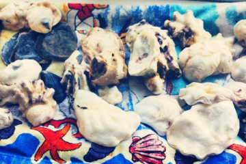 Southend Shells Collection