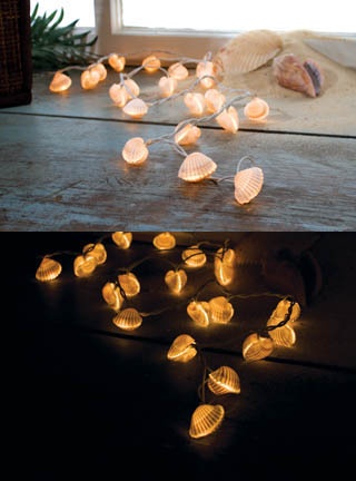 Shell Fairy Lights