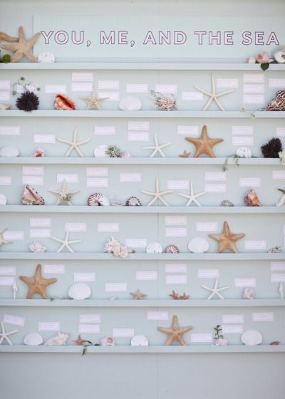 Shell Shelf