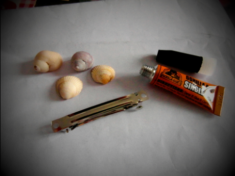 Seashell hairslide