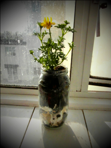 Shell Flower Jar