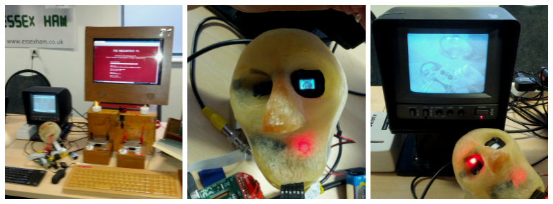 Pinnochion Face at Southend Raspberry Jam
