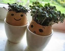 Cress Heads