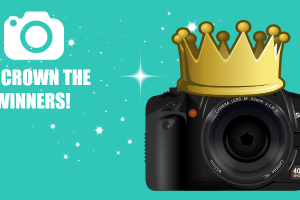 Photo Competition Winners