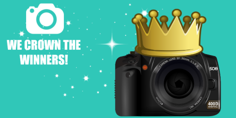 Photo Competition Winners