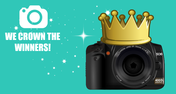 Photo Competition Winners