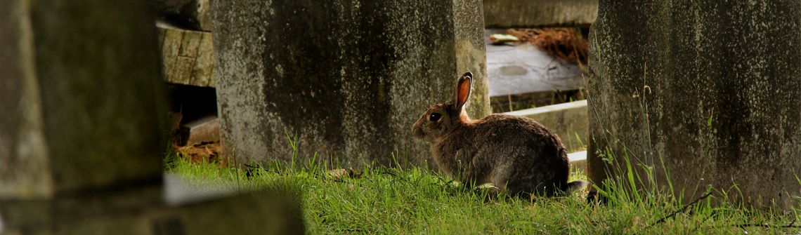 Places of Worship in Southend