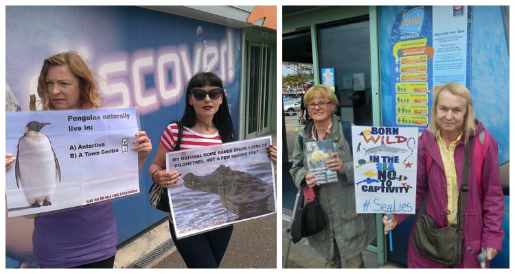 Sea Life Adventure Protest