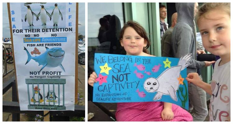 Sea Life Adventure Protest