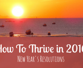 How To Thrive in 2016