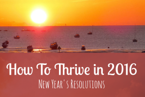 How To Thrive in 2016