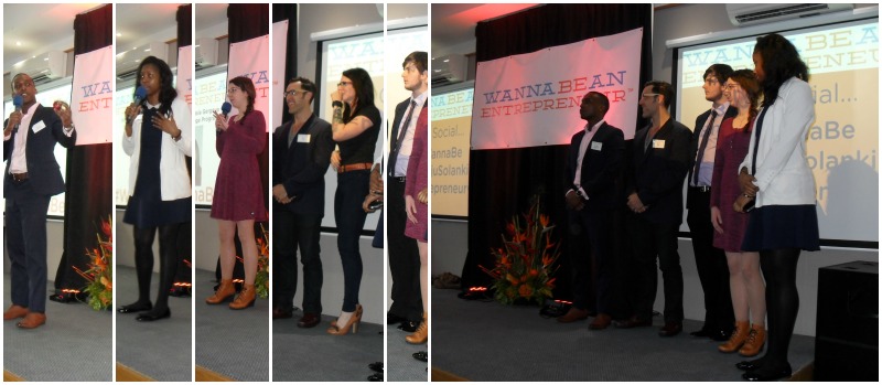 Wanna Be An Entrepreneur Pitch 2016